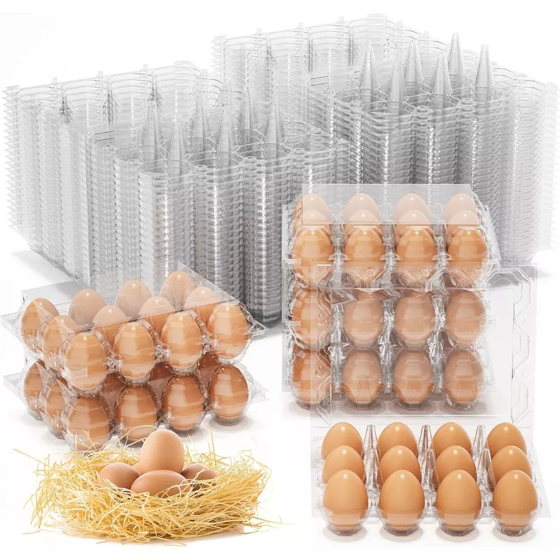180-pack-egg-cartons-cheap-bulk-12-count-clear-empty-egg-cartons-fresh-chicken-e 180 Pack Egg Cartons Cheap Bulk, 12 Count Clear Empty Egg Cartons for Fresh Chicken Eggs, 3x4 Grids Reusable Egg Holder Trays for Refrigerator Use, Chicken Farming, Family Storage and Market Purpose