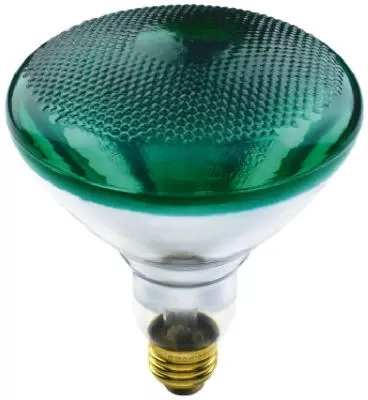 wp-100wbr38grn-fld-bulb WP 100WBR38GRN FLD Bulb