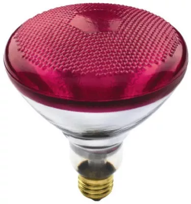 wp-100wbr38red-fld-bulb WP 100WBR38RED FLD Bulb